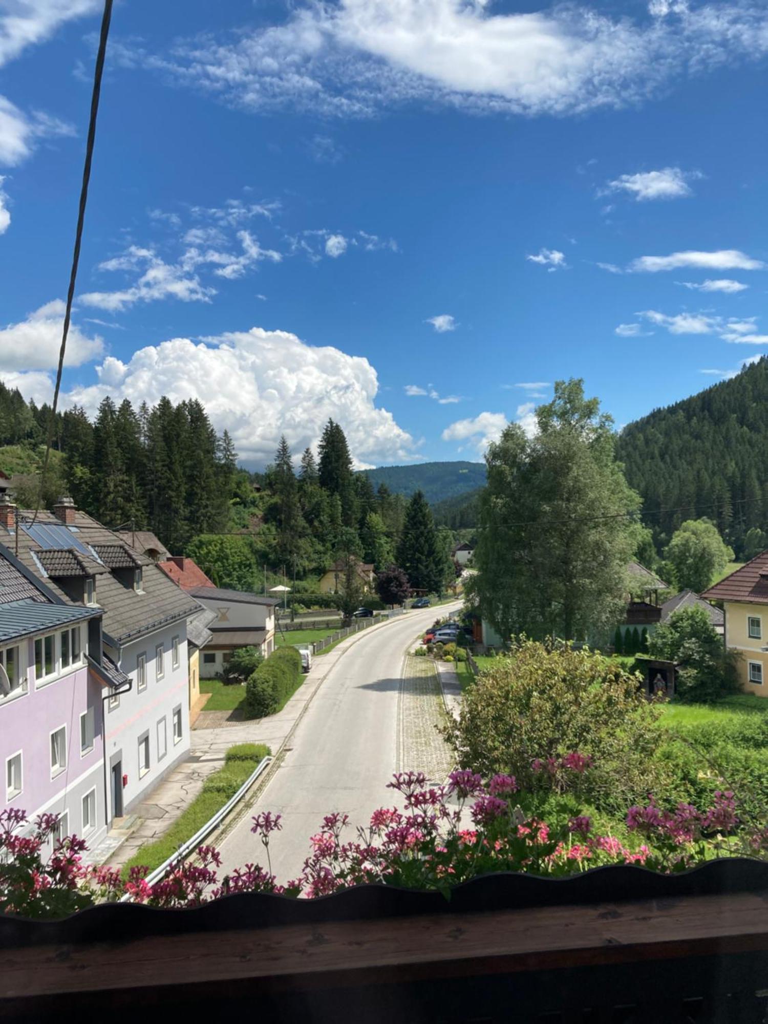 Moserwirt Pension Sankt Veit an der Glan Exterior foto